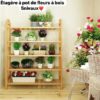 Range chaussures en bois 5 niveaux – Image 3
